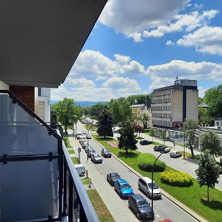 Apartament Przy Plantach Нови Сонч Екстериор снимка